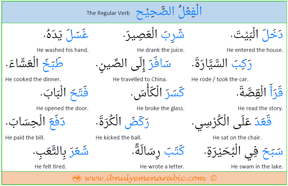 Arabic Regular Verbs