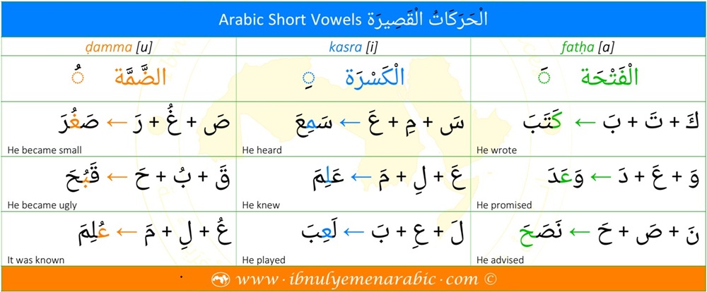 Arabic language has three short vowels. They are fatha, kasra, and Dhamma. They are pronounced as a, i, and u, respectively.