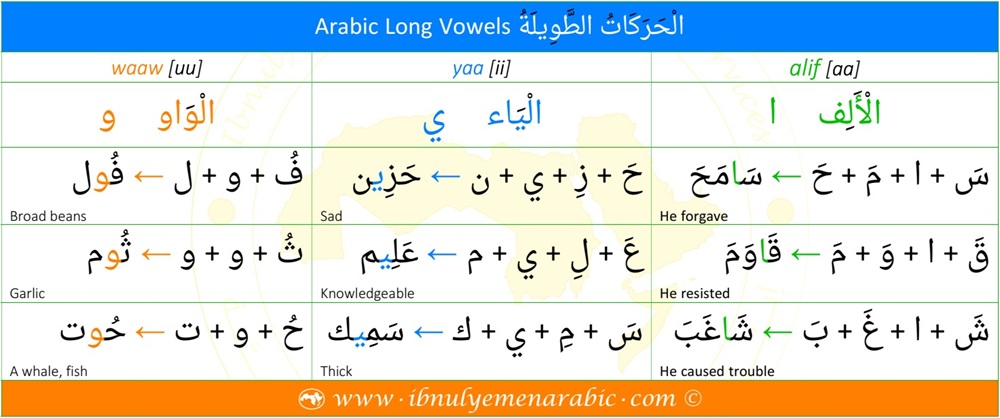 This table shows the long vowels in Arabic. They are alif [aa], yaa [ii], and waaw [uu], prolonged versions of short vowels.