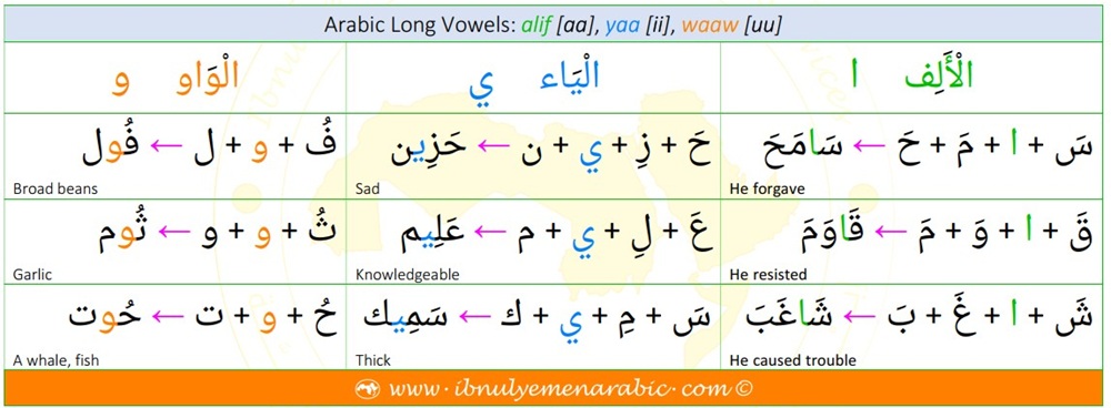 There are three long vowels in Arabic. They are alif, yaa, and waaw. They are pronounced aa, ii, and uu, respectively.